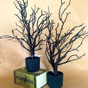 COPY - Target Bullseye 2022 Spooky Black Halloween Trees